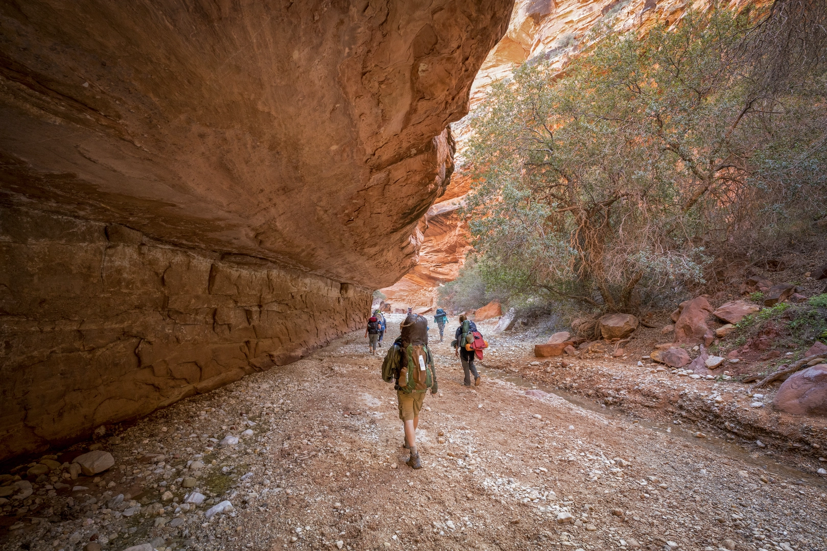 An image depicting the trail Havasu Falls Trail and its surrounding area.