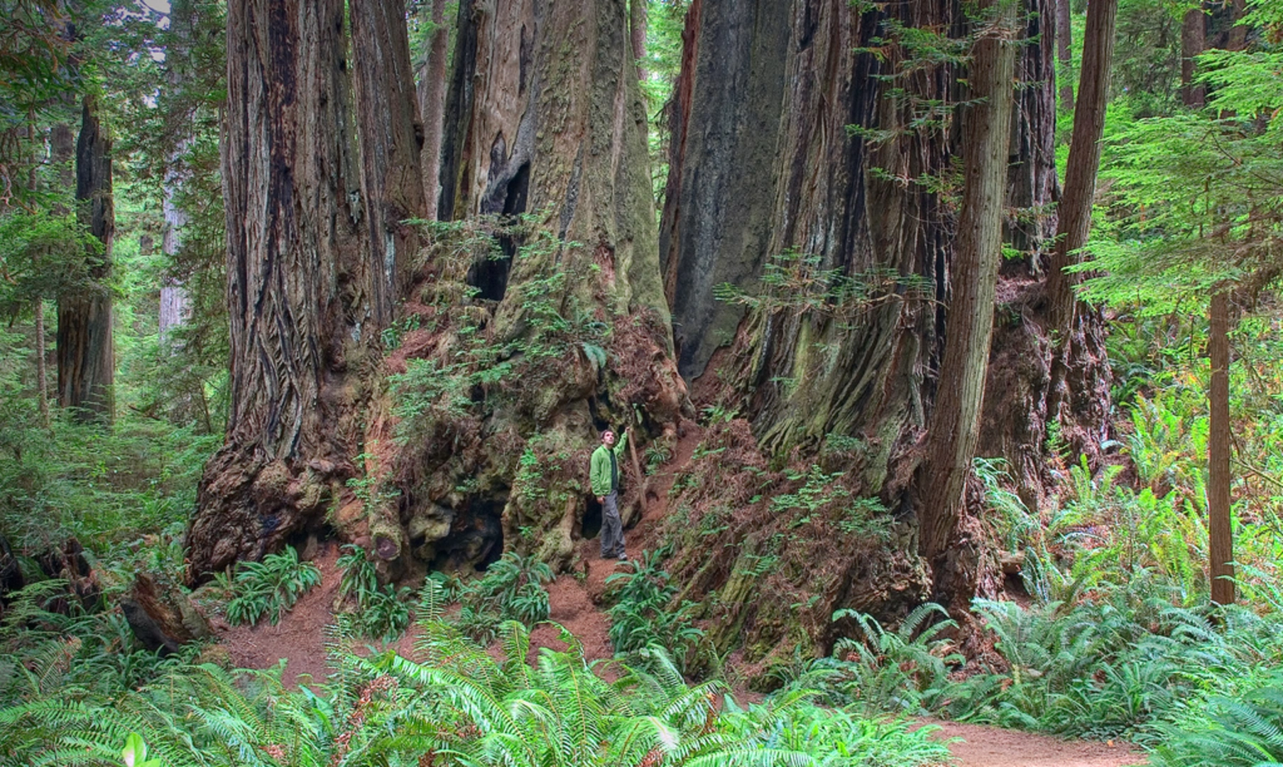 An image depicting the trail Ah-Pah Interpretive Trail and its surrounding area.
