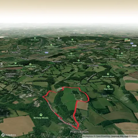 Kent: Short SW loop nr Pratts Bottom