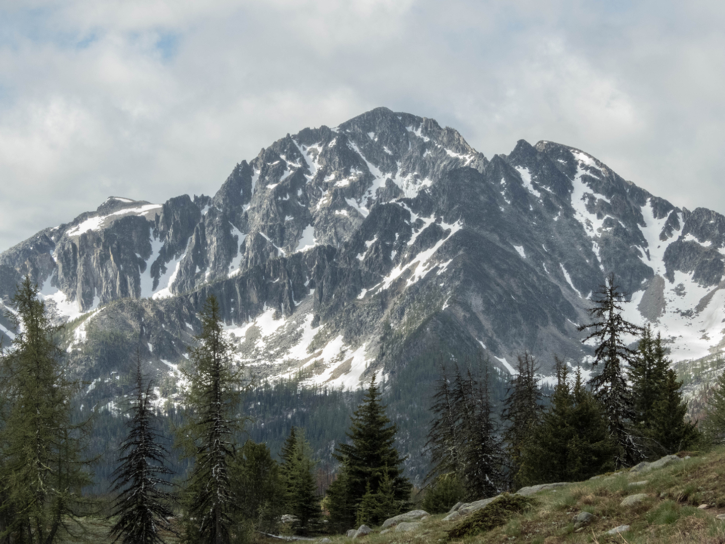 An image depicting the trail East Fork Pasayten Trail via Billy Goat Pass Trail and its surrounding area.