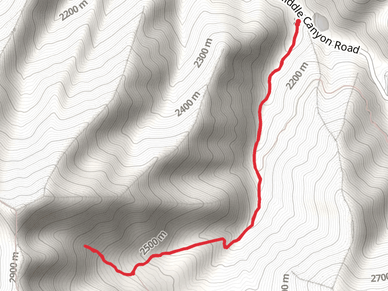 White Pine Flat Walk