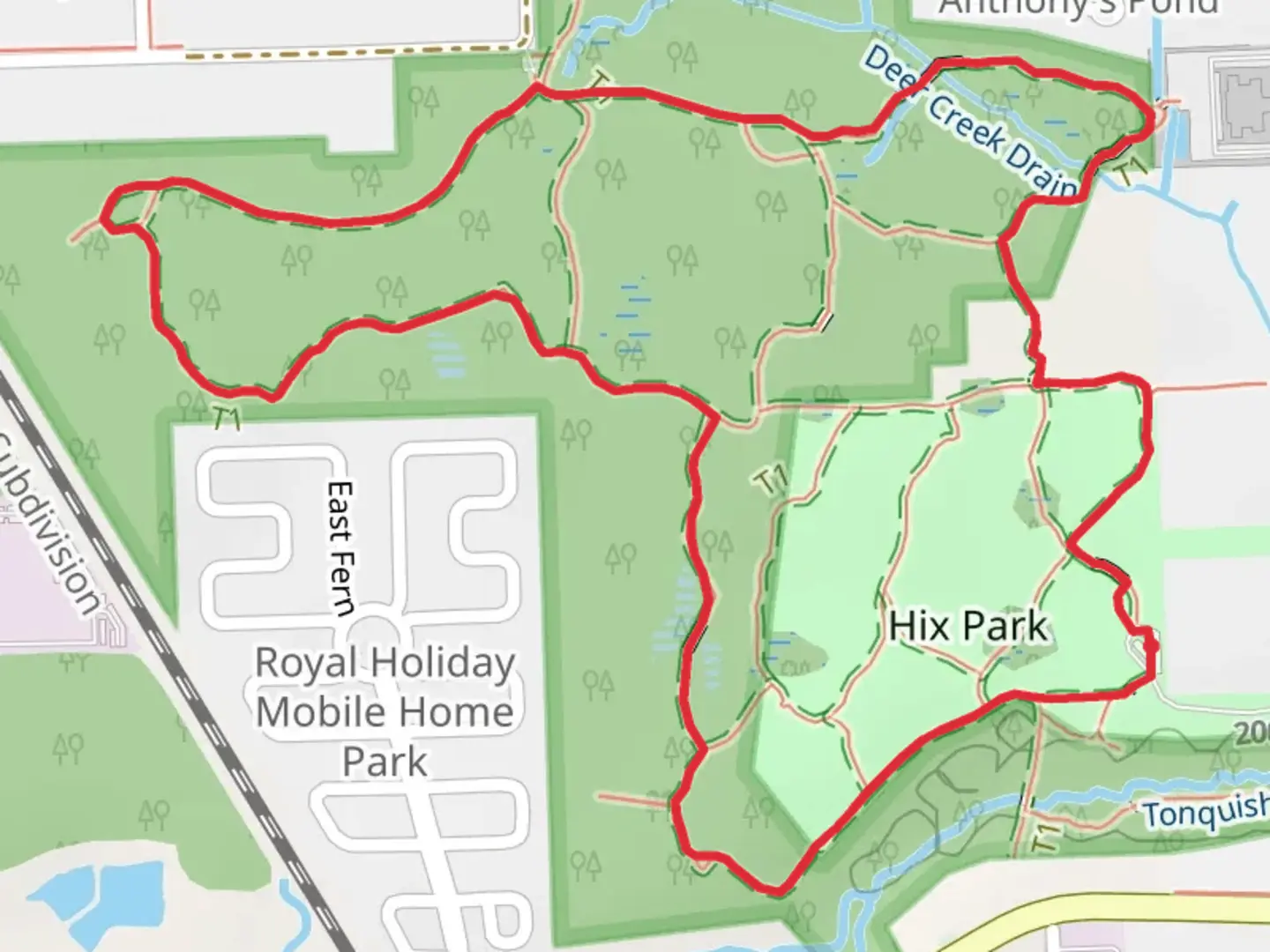 An image depicting the trail Beech - Tulip - Tonquish Loop Trail and its surrounding area.
