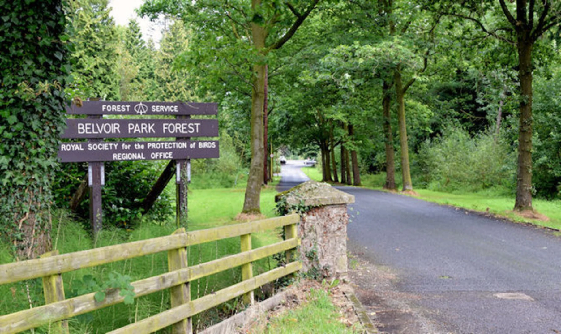 An image depicting the trail Belvoir Park Forest Loop and its surrounding area.