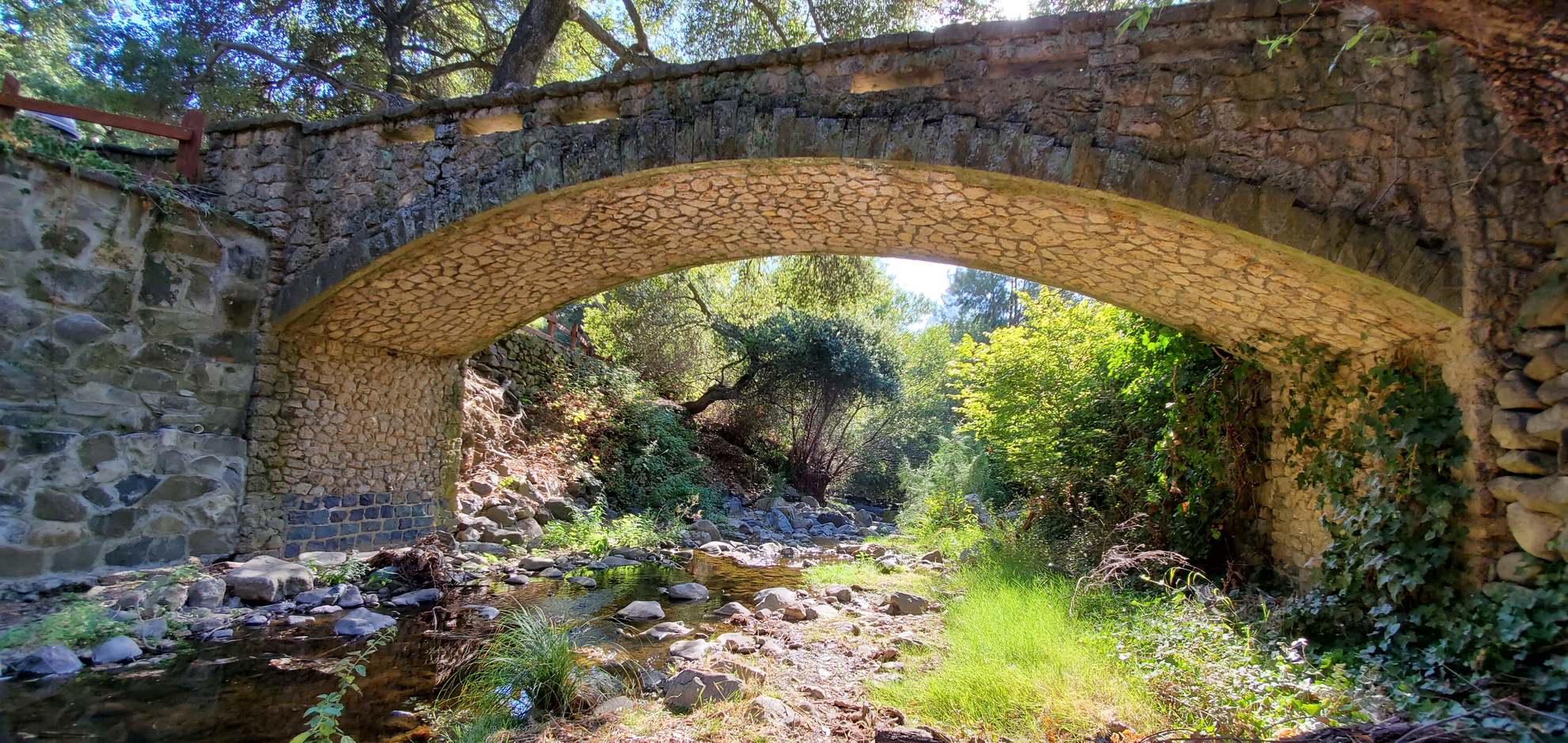 An image depicting the trail City Park Pond and Penitencia Creek Trail and its surrounding area.