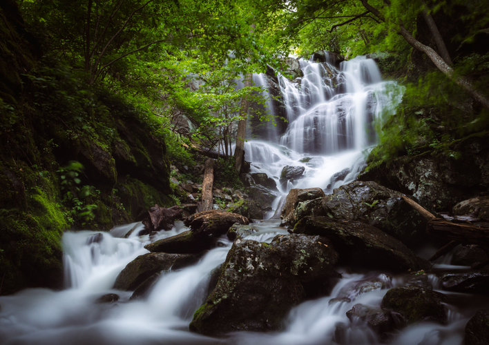 Browns Gap Road Trail
