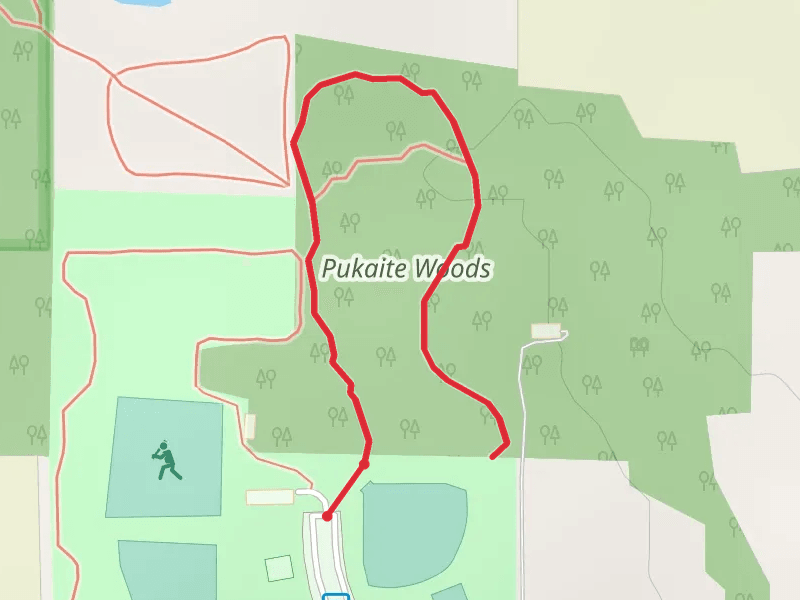 Pukaite Woods