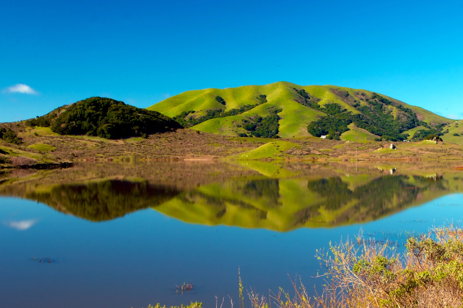 An image depicting the trail Point Reyes Petaluma Road and its surrounding area.