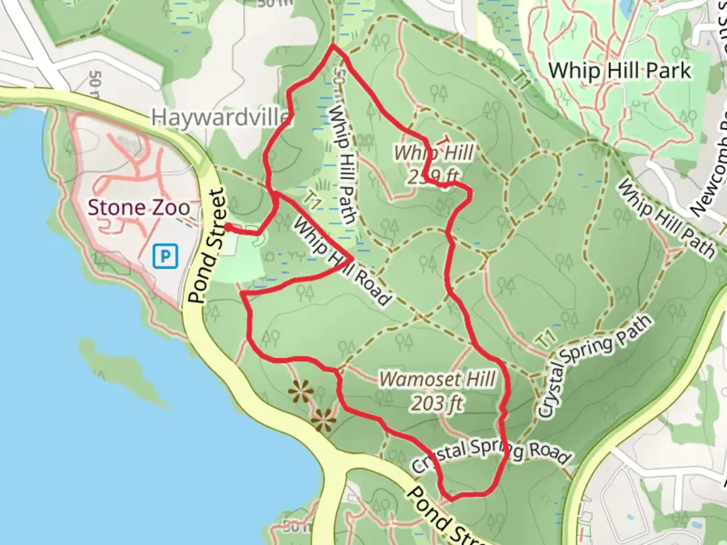 An image depicting the trail Wamoset Hill via Crystal Spring Loop Trail and its surrounding area.