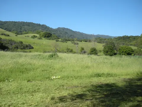 Stephen E Abbors - Higher Meadow - Coyote Loop Trail