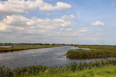 Nieuwe Driemans, Droogmakerij and Rottemeren Loop