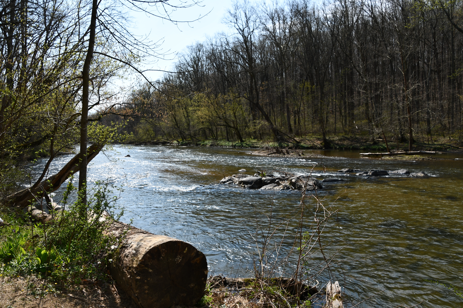 An image depicting the trail Gunpowder Falls via Sawmill Trail, Lost Pond Trail and Sweathouse Trail and its surrounding area.