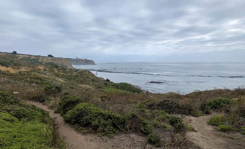 Pillar Point Beach Walk