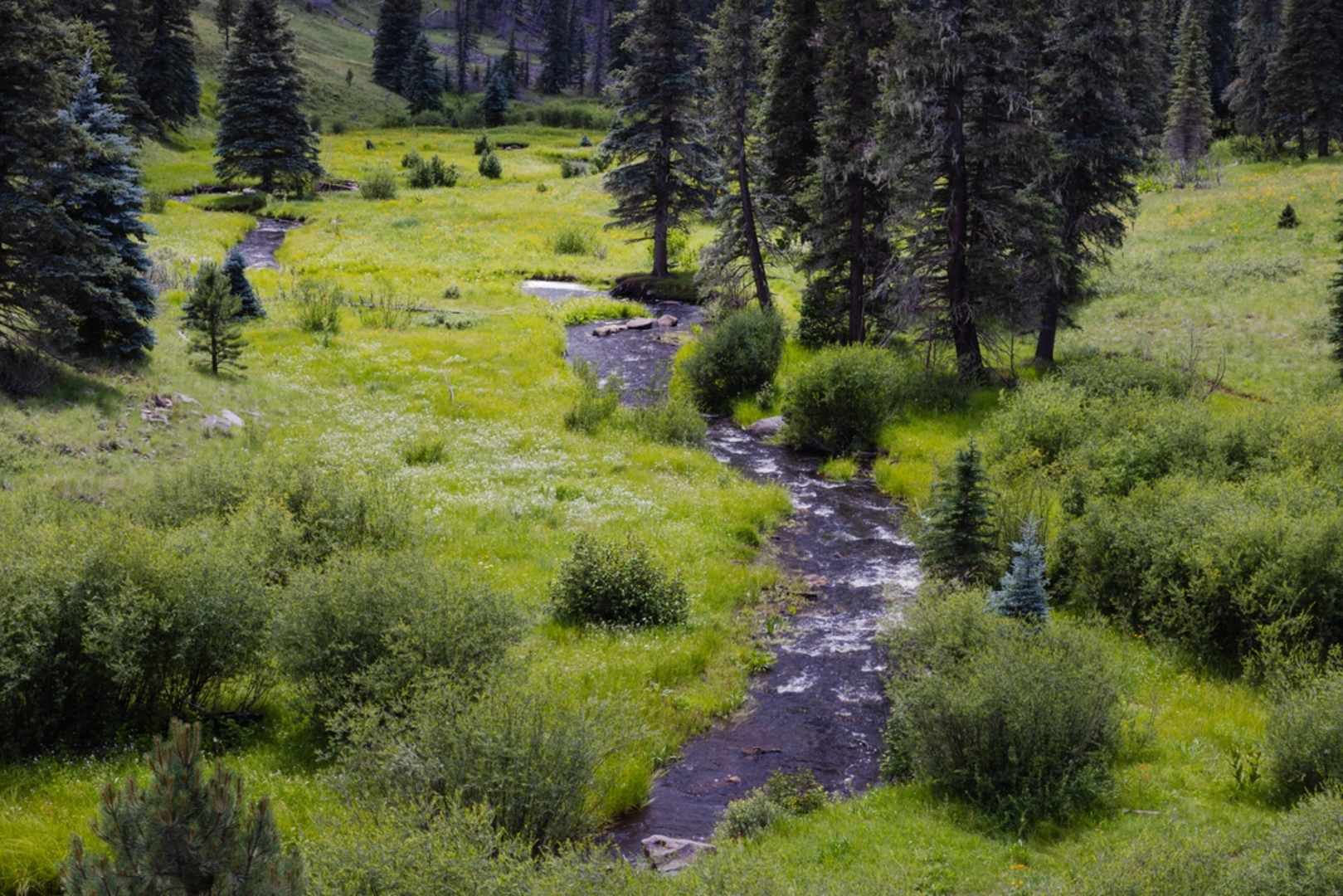 An image depicting the trail Thompson Trail and its surrounding area.