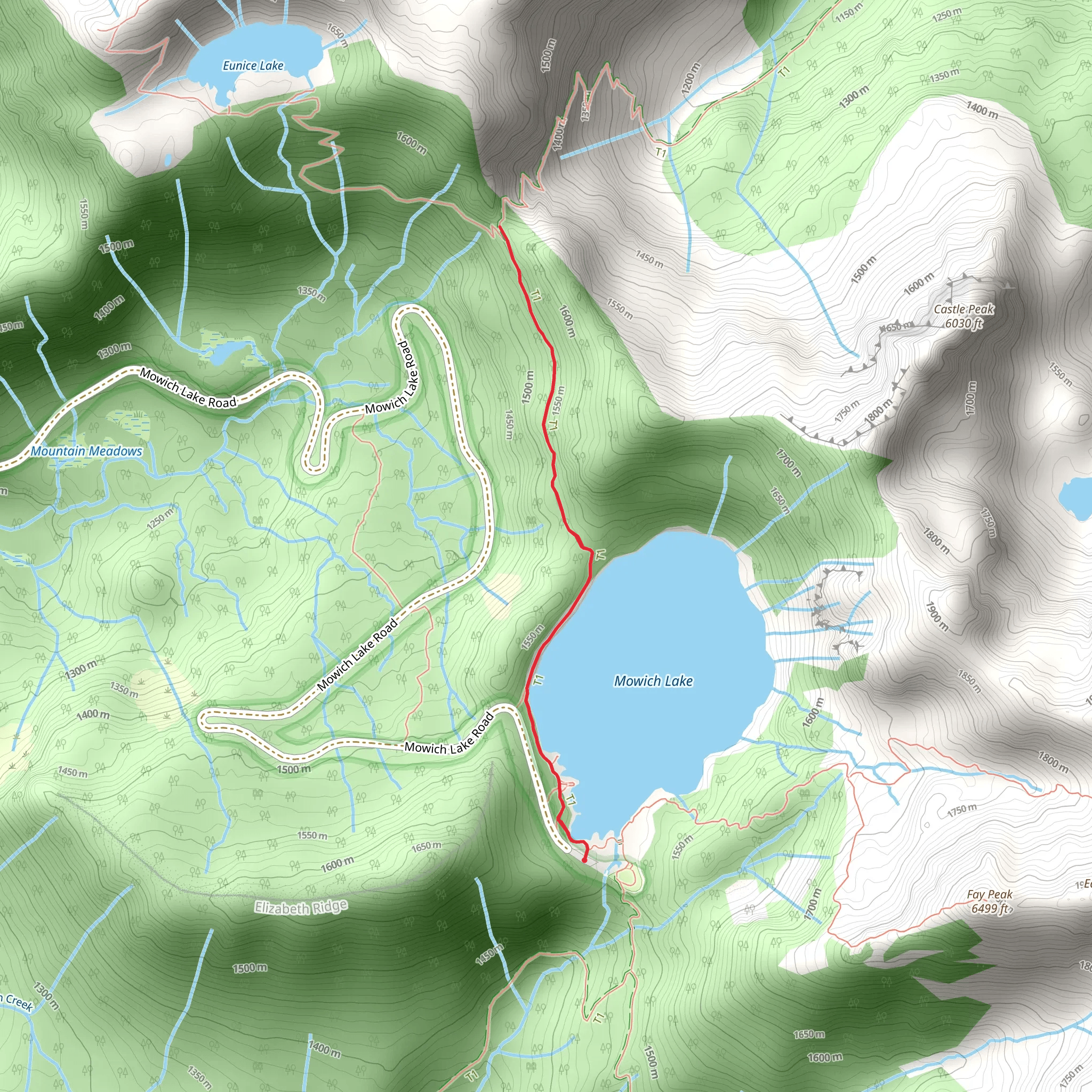 Ipsut Pass via Mowich Lake mobile static map