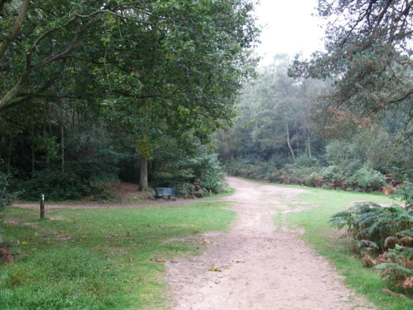 An image depicting the trail Pasture Wood, Somerset Hill, Leith Hill via Greensand Way and its surrounding area.