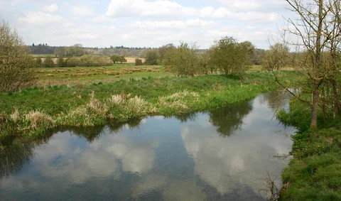 River Pang and Herridge's Copse Loop