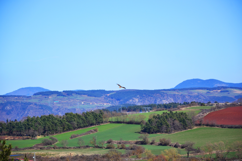 GR 3 - Vallee De La Loire