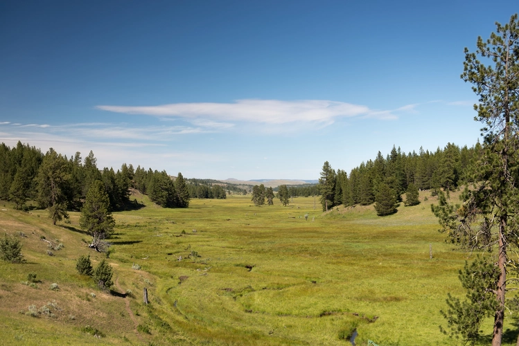 Line Butte Trail