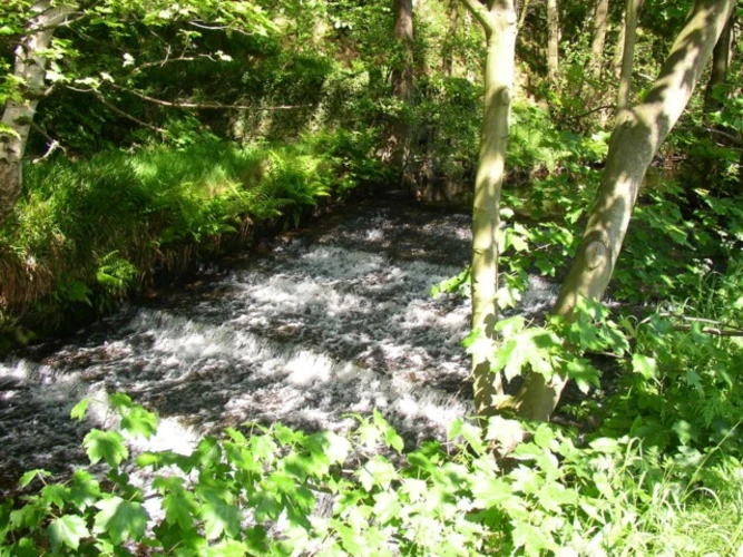 Hebden Water, Mill Pond and Gibson Mill Walk