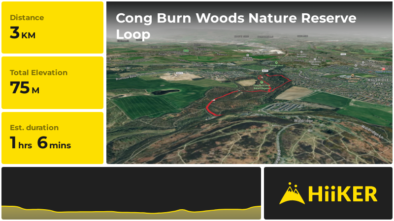 Cong Burn Woods Nature Reserve Loop | County Durham | England