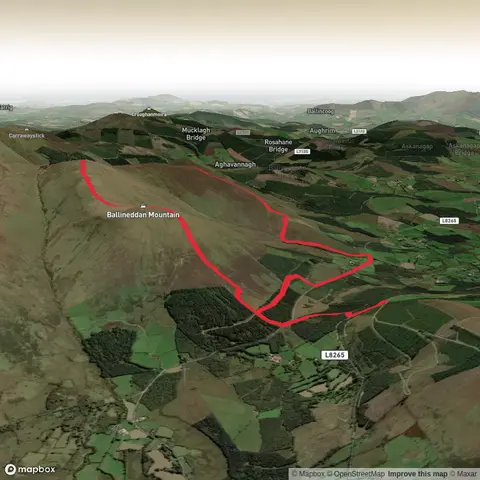 Ballineddan Mountain and Toorboy Mountain Loop