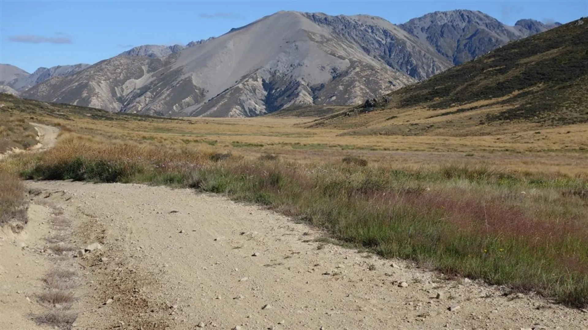 An image depicting the trail Homestead Run and its surrounding area.