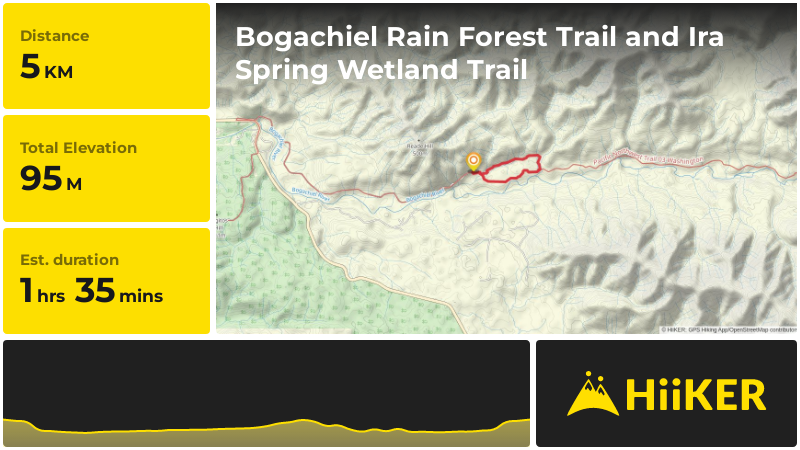 Bogachiel Rain Forest Trail and Ira Spring Wetland Trail | Clallam