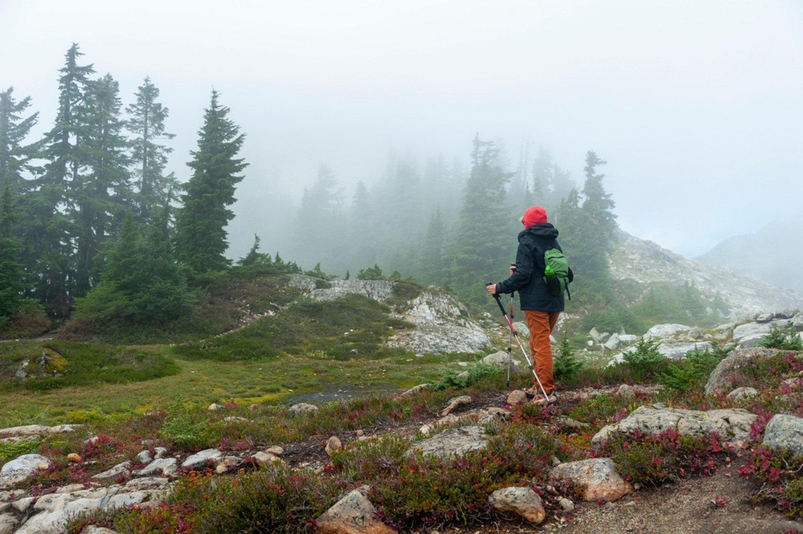 An image depicting the trail Nealey Creek Trail and its surrounding area.
