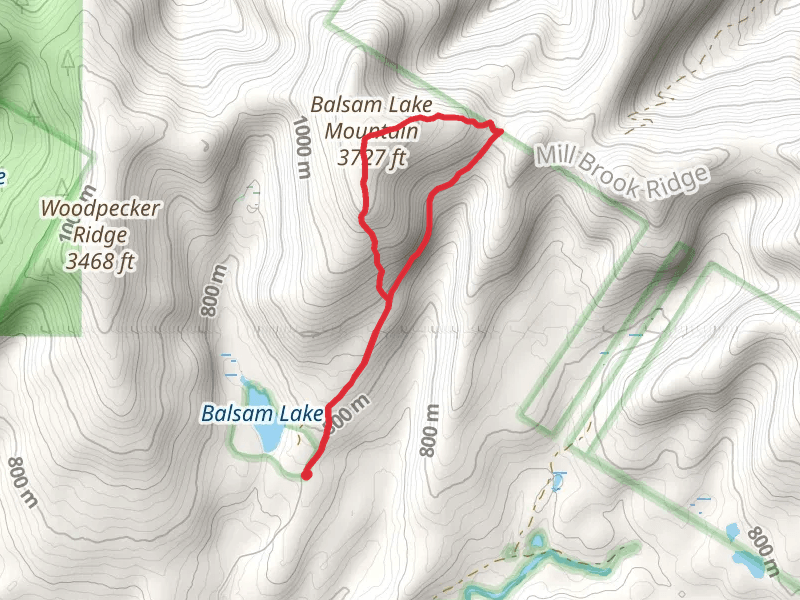 Balsam Lake Mountain Trail
