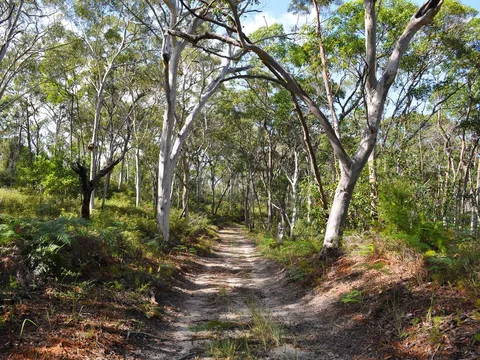 Rous Battery Walking Track