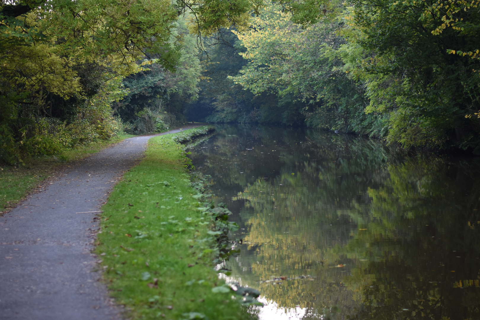 An image depicting the trail Goyt Way and its surrounding area.