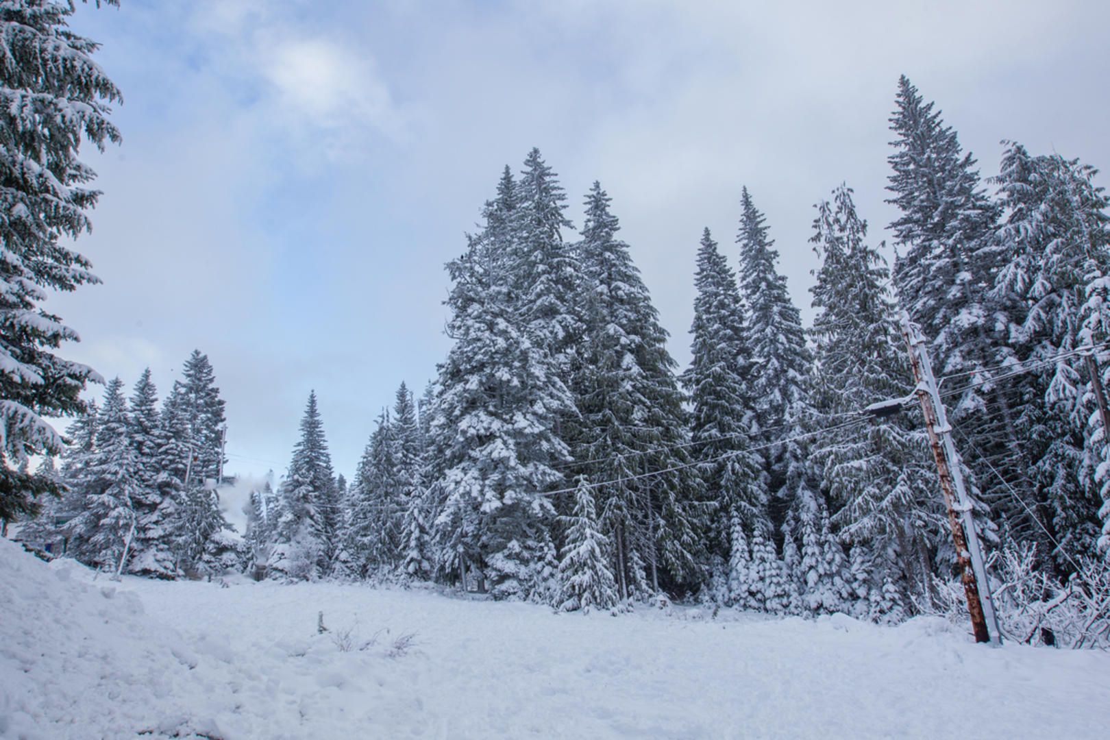An image depicting the trail Skiway Trail and its surrounding area.