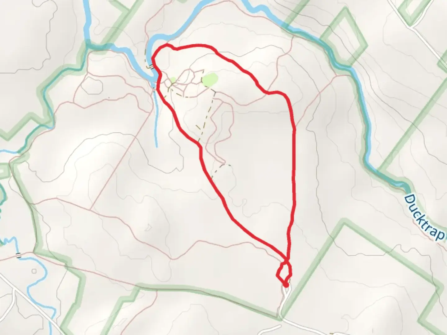 An image depicting the trail Tanglewood Road Forest Loop Trail and its surrounding area.