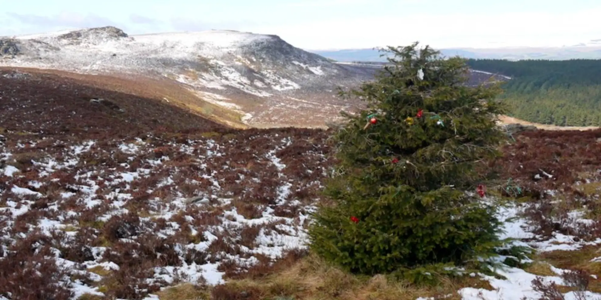 An image depicting the trail The Simonside Hills Walk and its surrounding area.