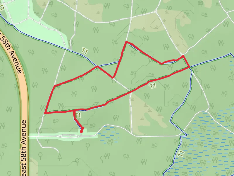 Northeast Avenue Loop