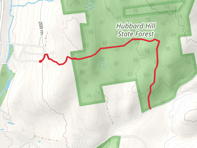 Charlestown Town Forest