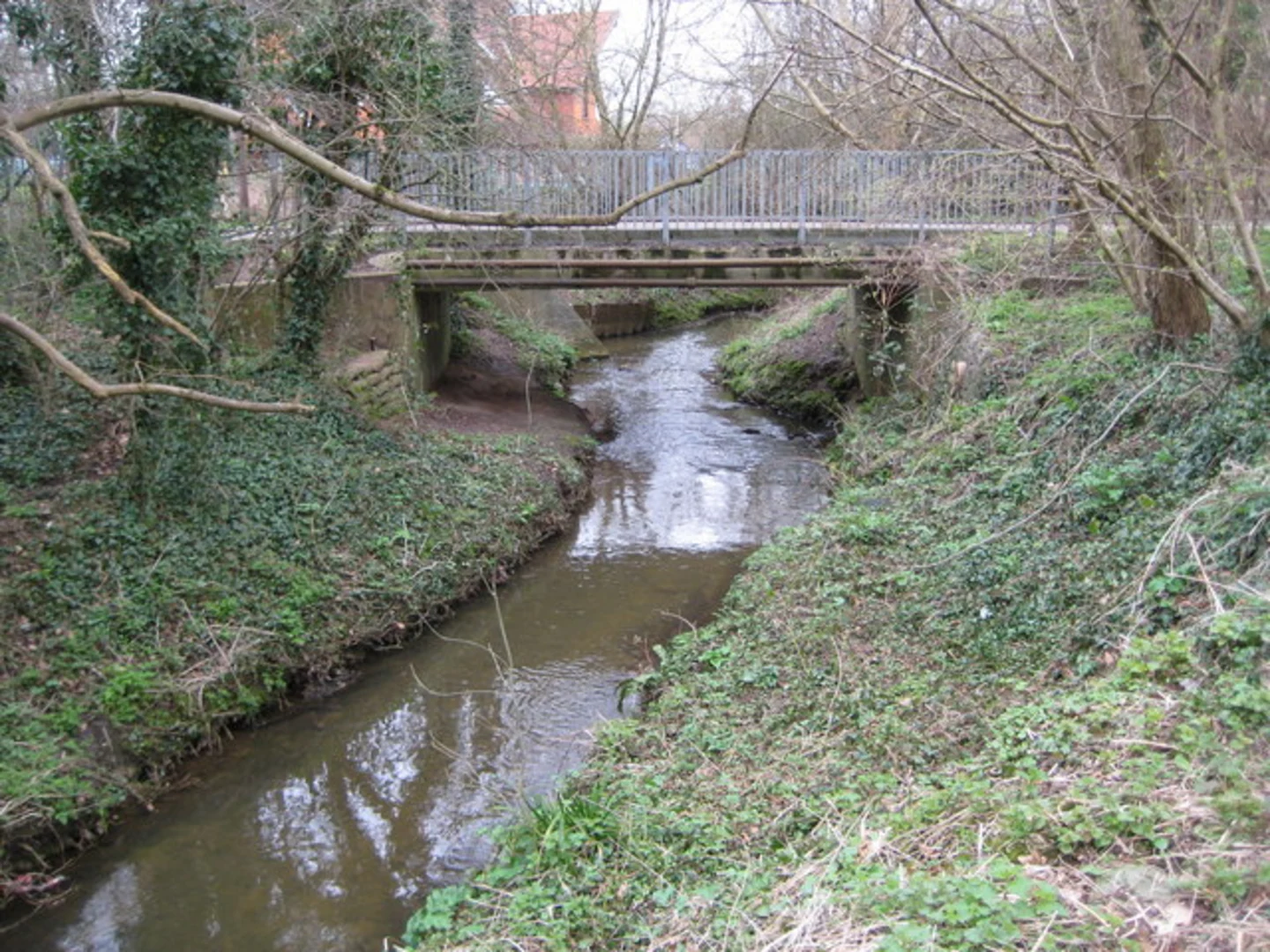 An image depicting the trail Whitegrove Copse, Hayley Green Wood and Westmorland Park Loop and its surrounding area.