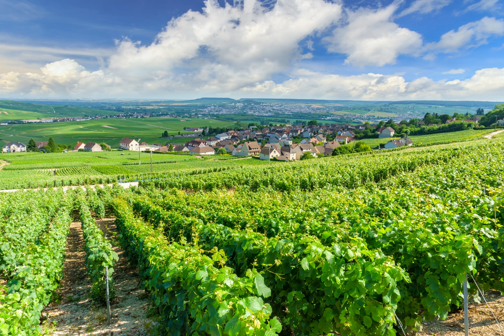 An image depicting the trail Via Francigena - France and its surrounding area.
