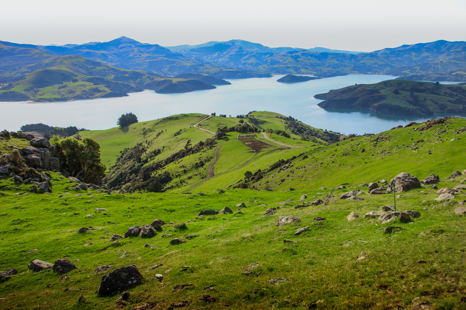 An image depicting the trail Banks Peninsula Track and its surrounding area.