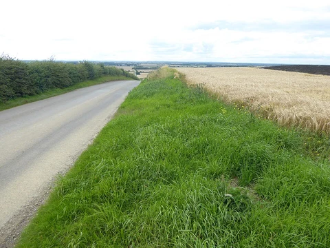 Brikett's and Gorse Hill Loop