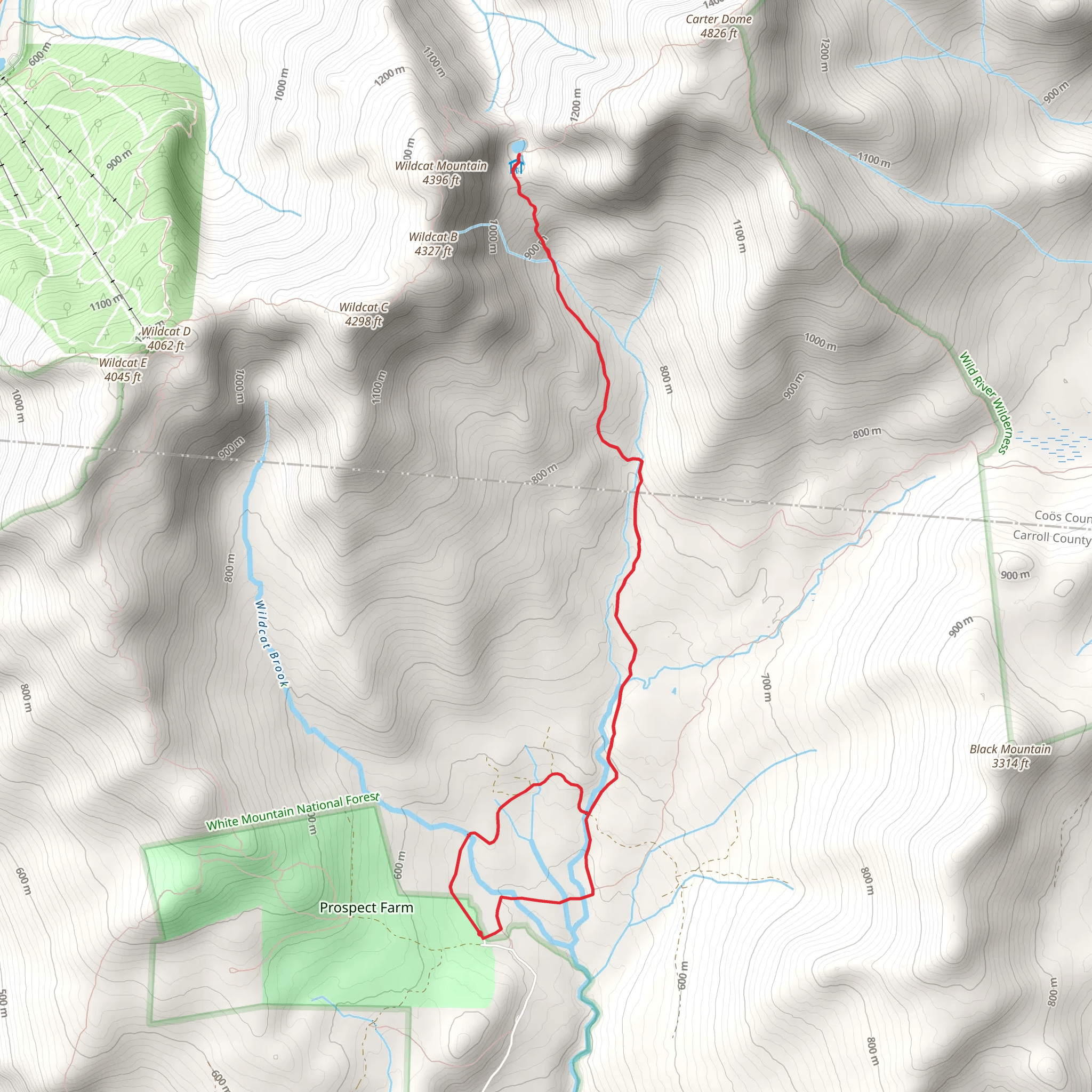 Wildcat Brook and Wildcat River Trail via Prospect Farm Road mobile static map