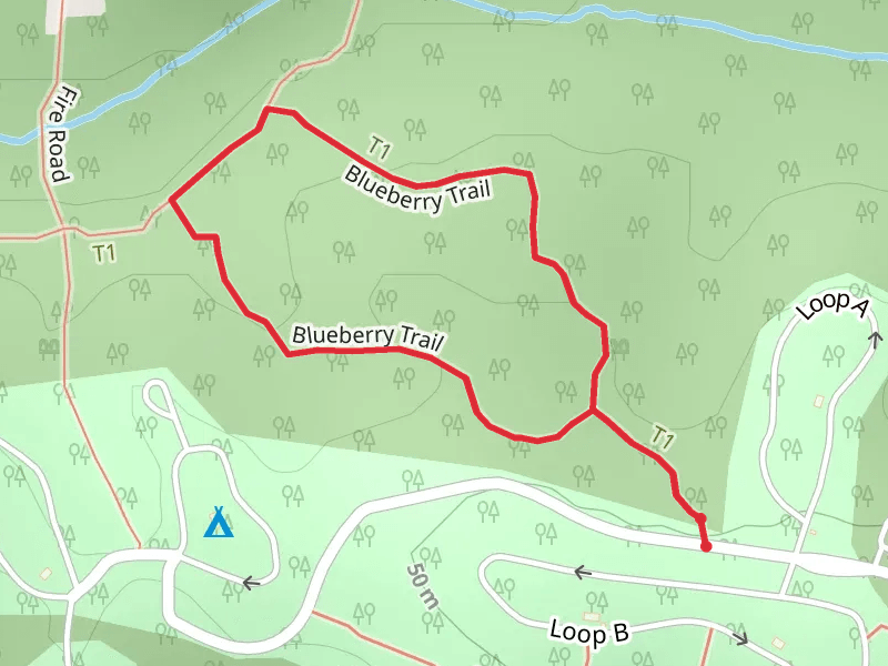Blueberry Loop Trail