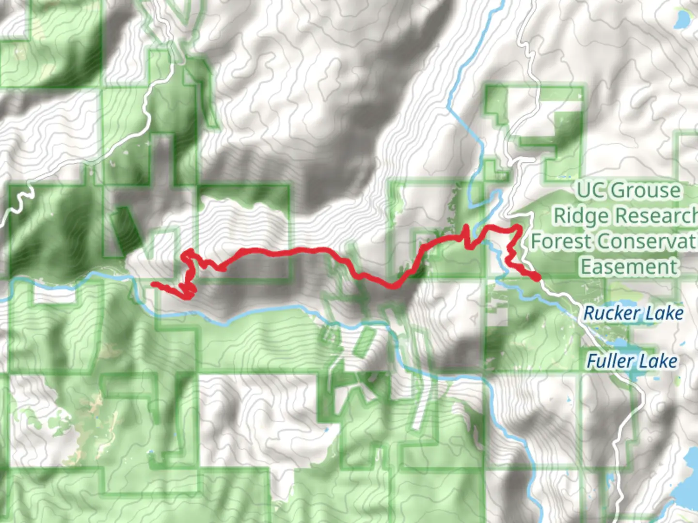 An image depicting the trail South Yuba Ridge Trail and its surrounding area.