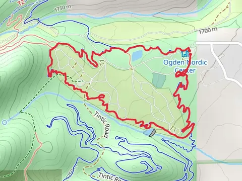 Trail 365 Loop