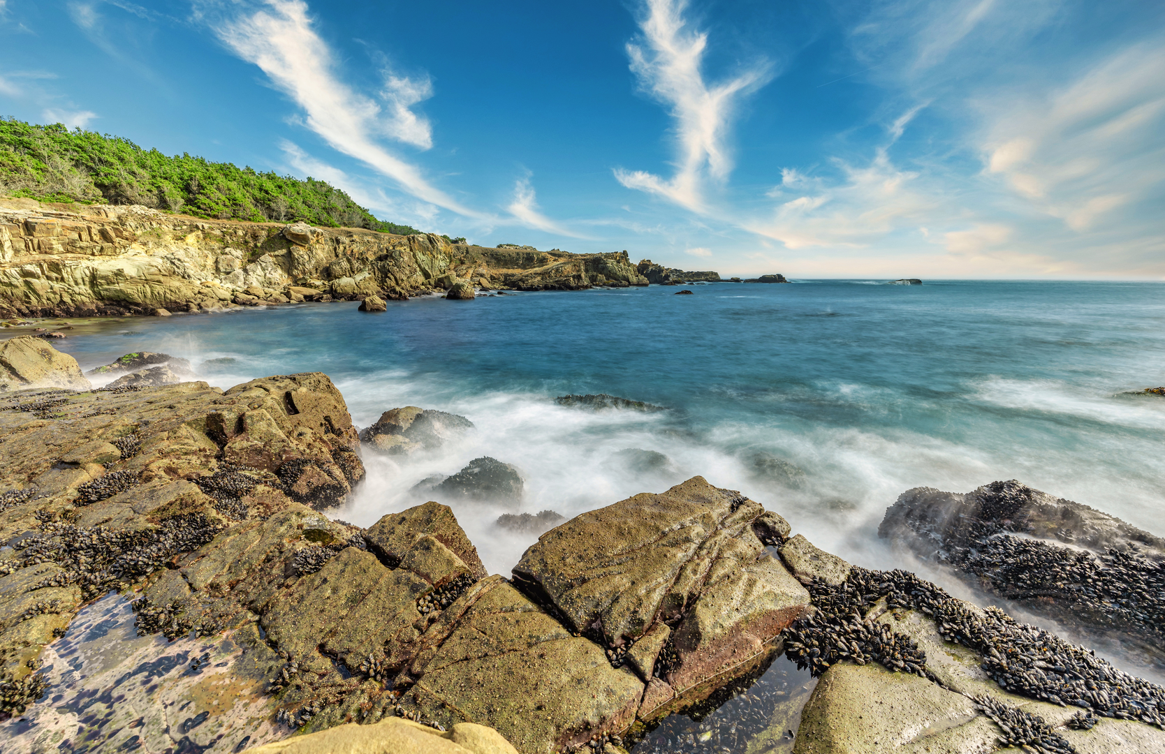 An image depicting the trail Stump Beach Cove via Salt Point Trail and its surrounding area.
