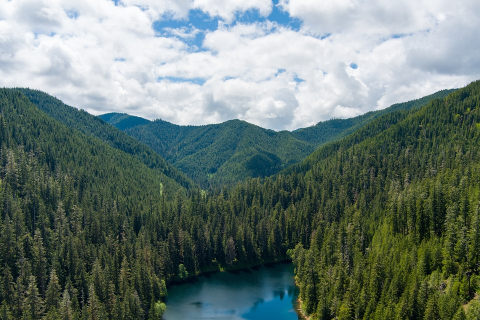 An image depicting the trail Spider Lake Trail and its surrounding area.