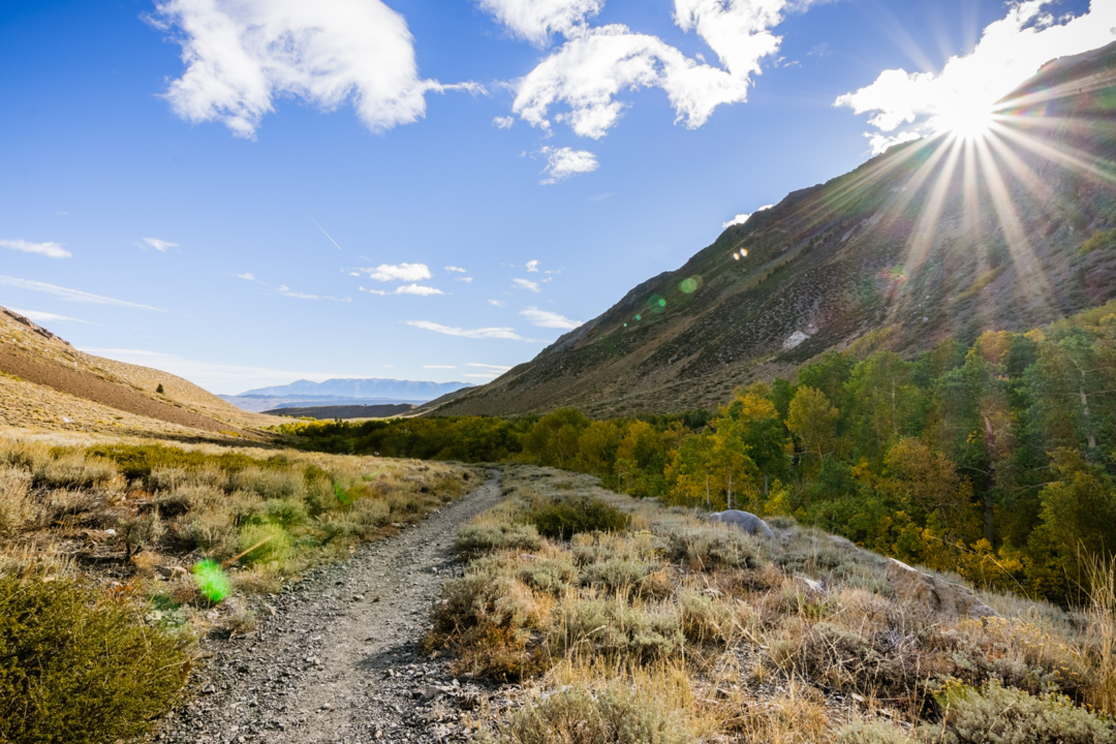 An image depicting the trail McGee Pack Station Trail and its surrounding area.