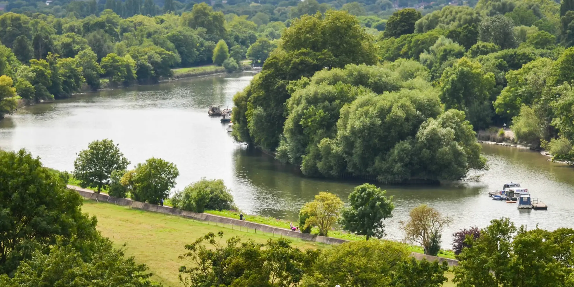 An image depicting the trail Richmond Park and Petersham Circular and its surrounding area.
