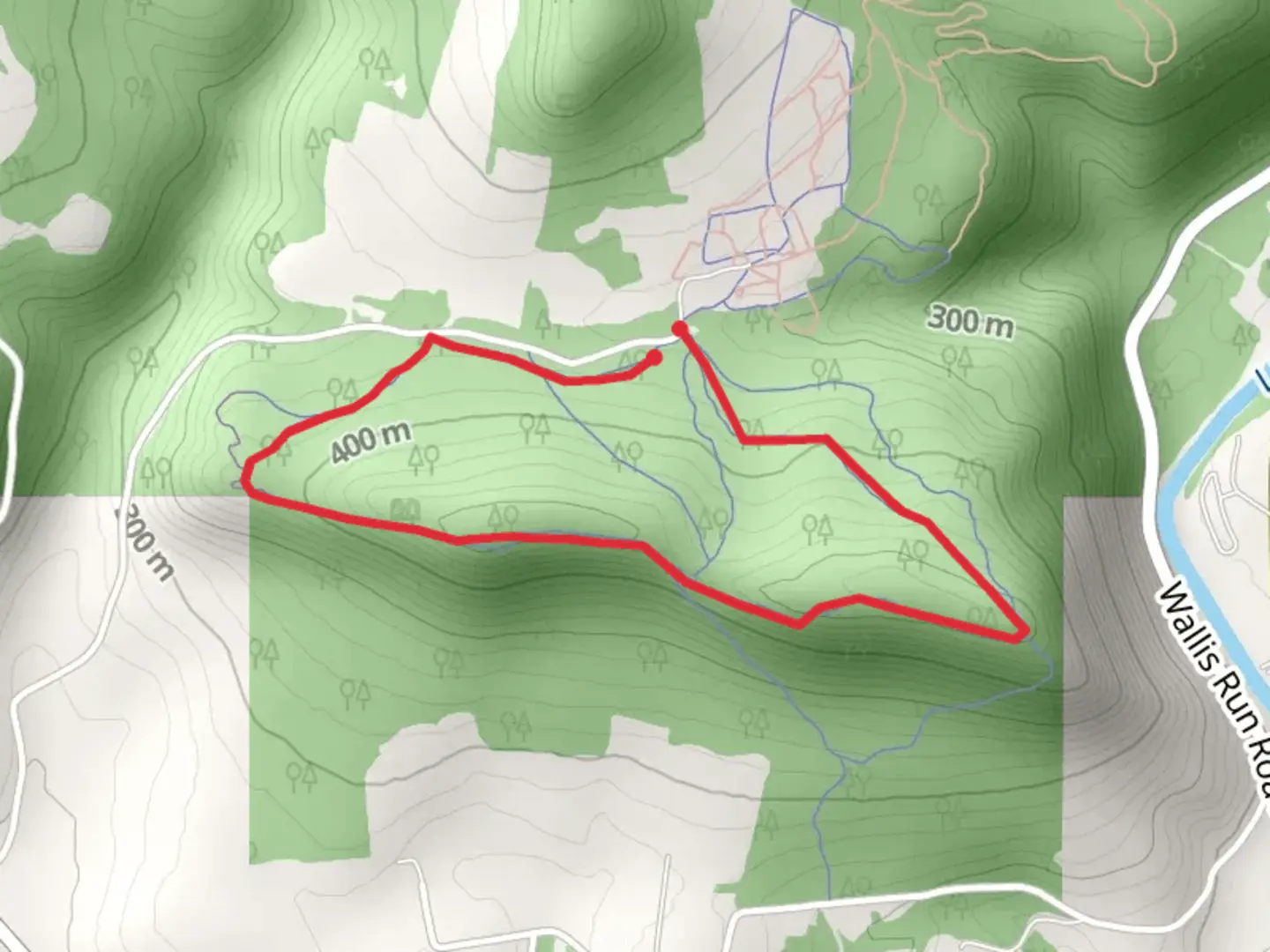 An image depicting the trail Allegheny Loop - Caleb Creek Road and its surrounding area.
