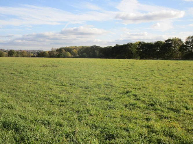 Bigglesway and Gamlingay Loop